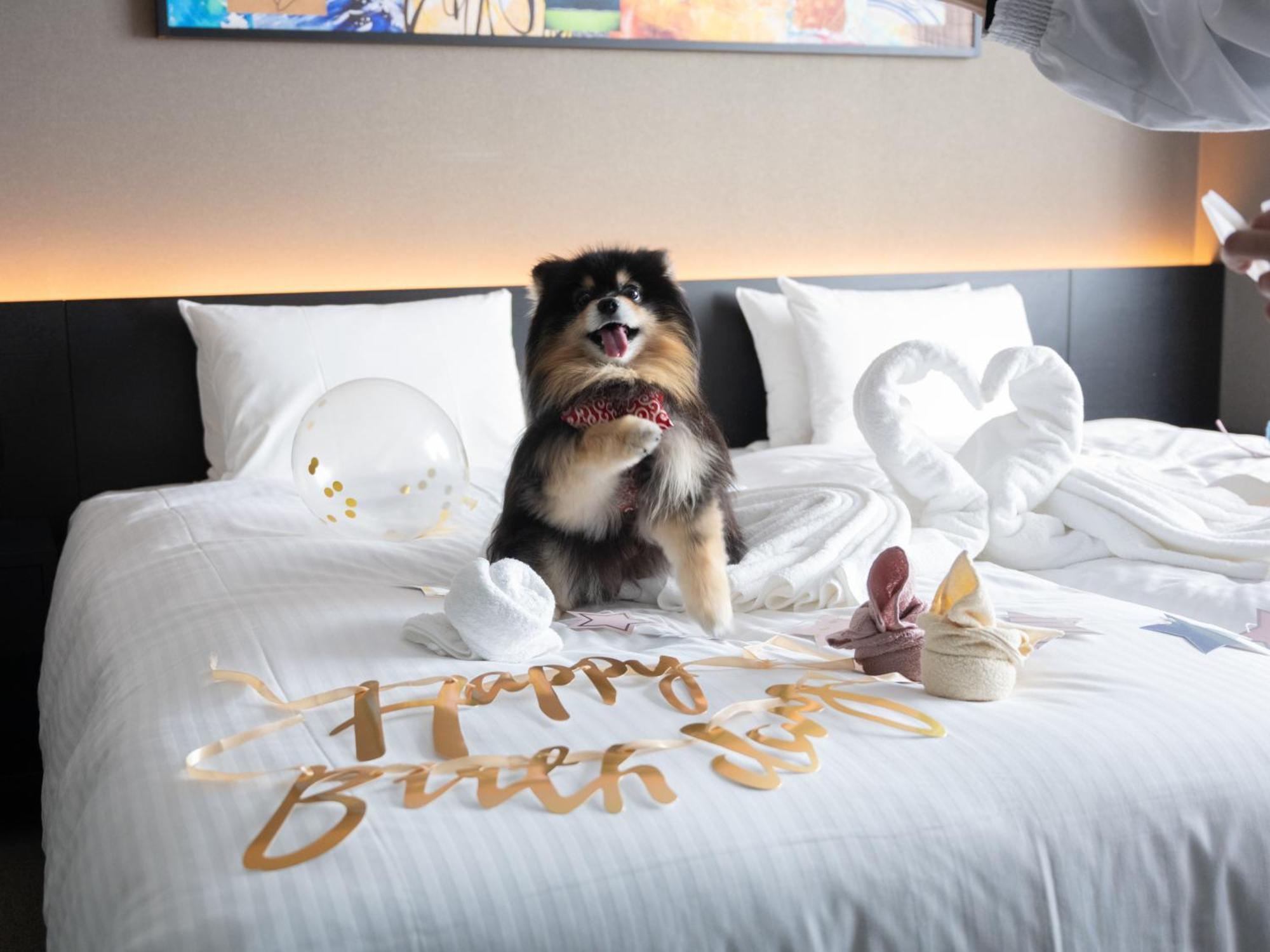 Hotel Anddoggy Kyoto Nijo Экстерьер фото